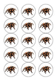 Spider Edible Icing Cake Topper