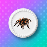 Spider Edible Icing Cake Topper