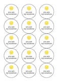 You are my sunshine Edible Icing Cake Topper