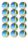 Surfing / Surfer 02 Edible Icing Cake Topper or Ribbon