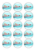 Swim / Swimming Edible Icing Cake Topper 03
