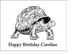 Tortoise 01 Edible Icing Cake Topper