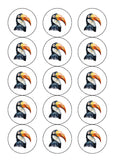 Toucan Edible Icing Cake Topper or Ribbon
