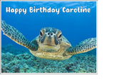 Turtle 01 Edible Icing Cake Topper or Ribbon