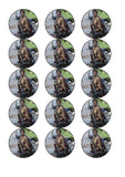 The Walking Dead 10 Edible Icing Cake Topper - Daryl Dixon