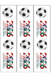 World Cup 2026 Football Edible Icing Cake Topper or Topper 05