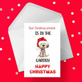 Christmas Card 46 from The Dog - Funny in the garden