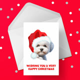 Christmas Card with Bichon Frise Dog