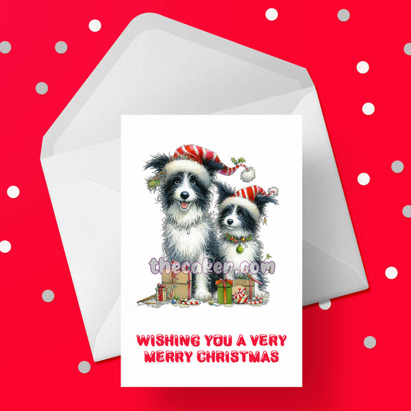Christmas Card with Border Collie Dog 04