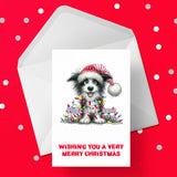 Christmas Card with Border Collie Dog 08