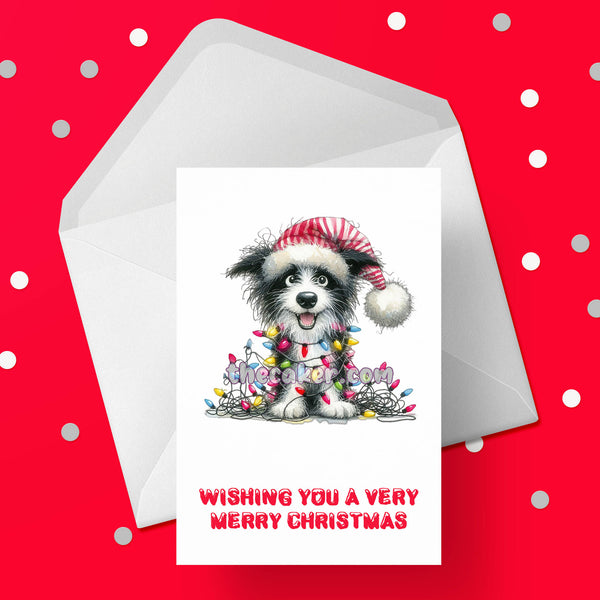 Christmas Card with Border Collie Dog 08
