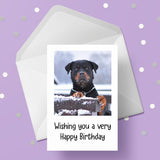 Rottweiler Dog 03 Birthday Card