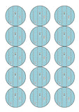 Swimming Pool Edible Icing Cake Topper