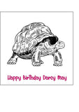 Tortoise 01 Edible Icing Cake Topper