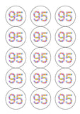 95th Birthday Balloons Edible Icing Cake Topper or Ribbon