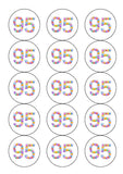 95th Birthday Balloons Edible Icing Cake Topper