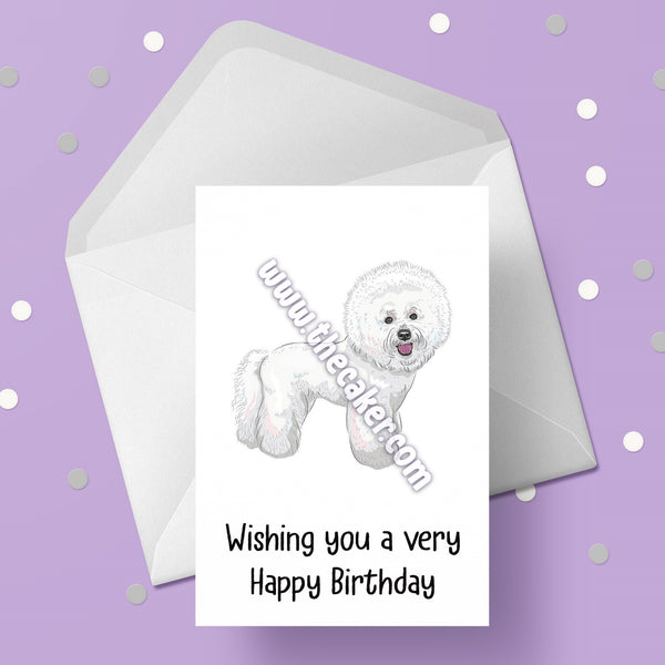 Bichon Frise Birthday Card