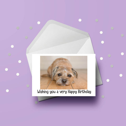 Border Terrier 01 Birthday Card