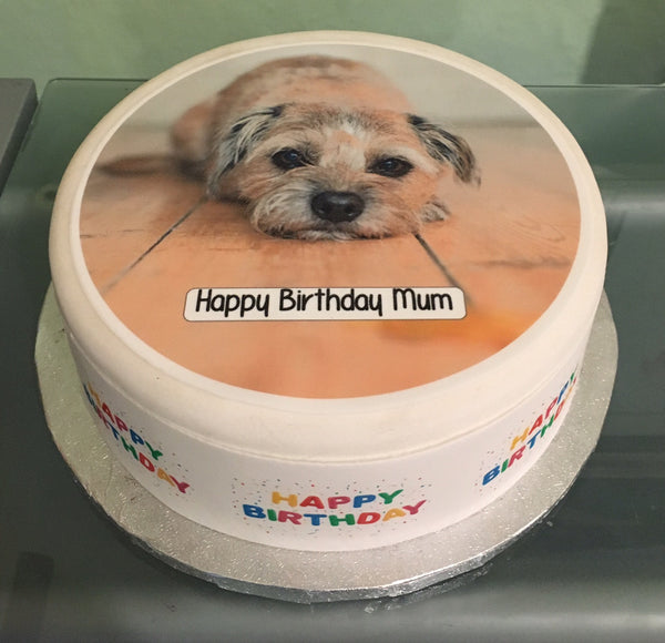 Border Terrier Edible Icing Cake Topper 01