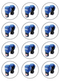 Blue Boxing Gloves Edible Icing Cake Topper 03