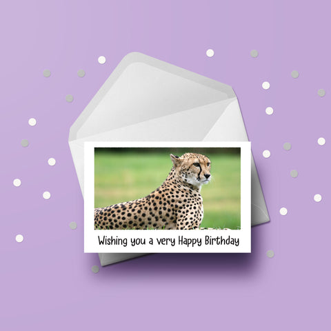Cheetah 01 Birthday Card
