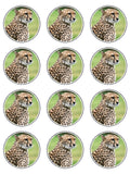 Cheetah Edible Icing Cake Topper 01