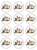 Chihuahua Edible Icing Cake Topper 01