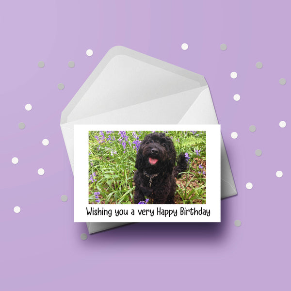 Cockapooa Dog Birthday Card 02