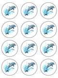 Dolphin Edible Icing Cake Topper 03