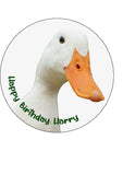 Duck Edible Icing Cake Topper 02