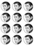 Elvis Presley Edible Icing Cake Topper 01