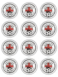 England Football Edible Icing Cake Topper 07