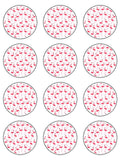 Flamingo Edible Icing Cake Topper 01