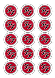 Foo Fighters Logo Edible Icing Cake Topper