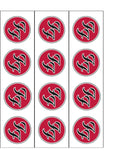 Foo Fighters Edible Icing Cake Topper 01