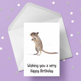 Gerbil Birthday Card 02