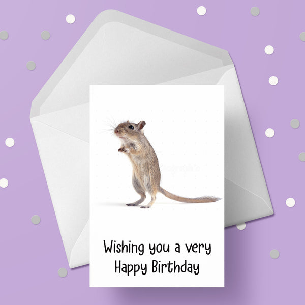 Gerbil Birthday Card 02
