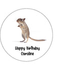 Gerbil Edible Icing Cake Topper 02
