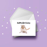 Gerbil / Mouse 01 Birthday Card