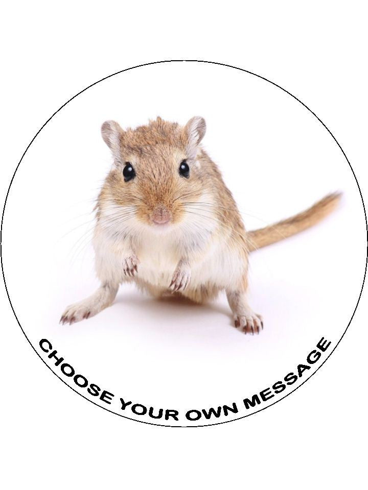 Gerbil / Mouse Edible Icing Cake Topper 01 the caker online