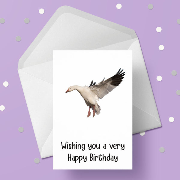 Goose Birthday Card 02
