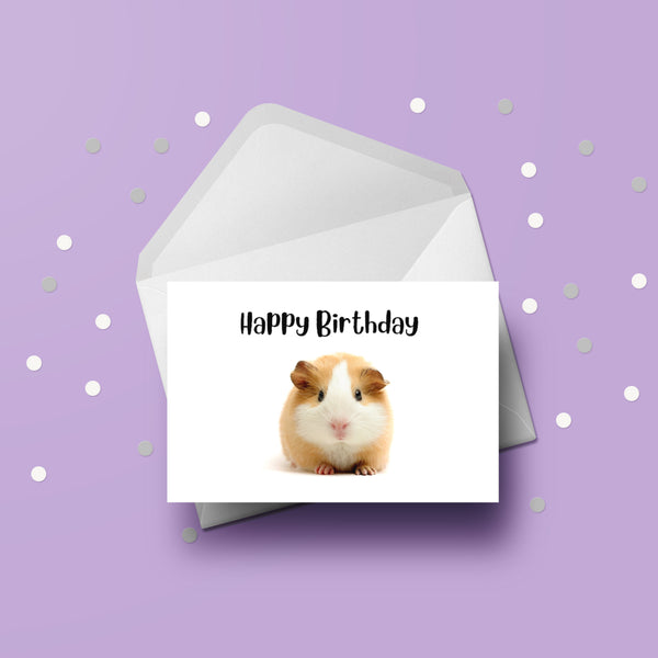 Guinea Pig 01 Birthday Card