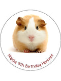 Guinea Pig Edible Icing Cake Topper 01