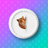 Hamster Edible Icing Cake Topper 05