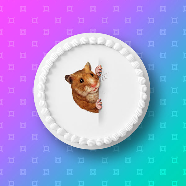 Hamster Edible Icing Cake Topper 05