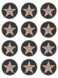 Hollywood Star Walk of Fame Edible Icing Cake Topper