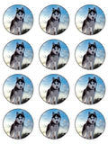 Husky Dog Edible Icing Cake Topper 01