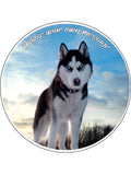 Husky Dog Edible Icing Cake Topper 01