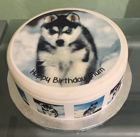 Husky 02 Edible Icing Cake Topper or Ribbon