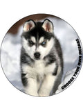 Husky Dog Edible Icing Cake Topper 02